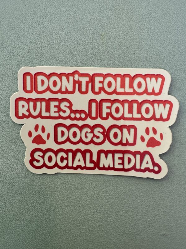 I don't follow rules... I follow dogs on social media