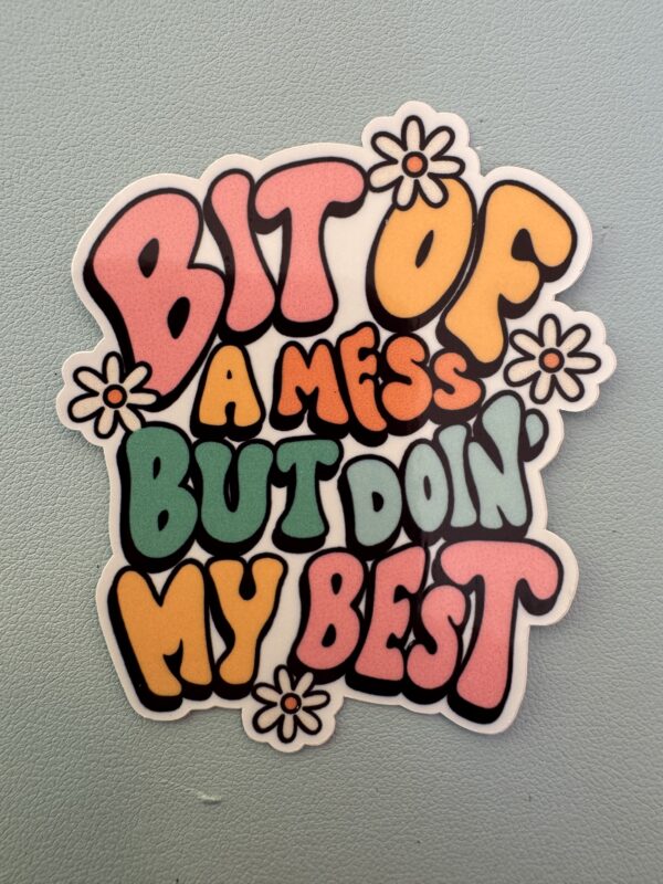Bit of a mess, but doin' my best!